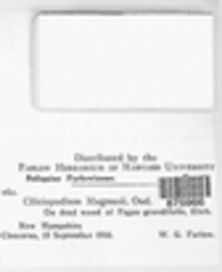 Image Associated With the Occurence